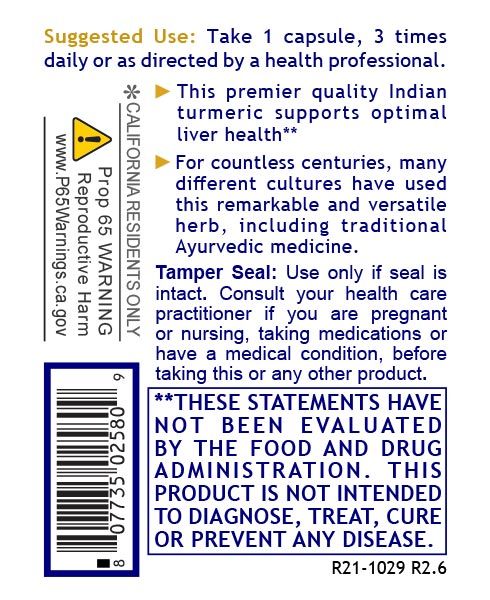 Turmeric (Premier Turmeric - Inflammation - Curcumin) 60 Vcaps