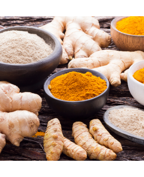 Fermented Turmeric & Ginger - Organic (Premier Liver & Digestive Support) 7.4 oz. Powder