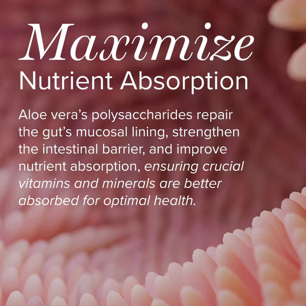 Aloe Vera - Acemannan (Organic Immune Support) 60 caps (*See Price Increase Notice)